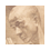 Bald-headed Youth
