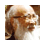 Zhang Da Qian